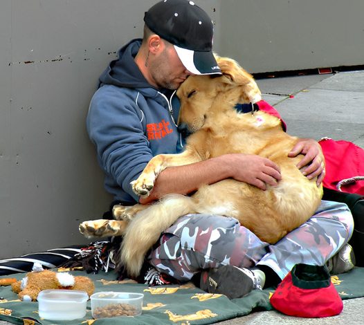 A Glimmer of Hope on the Streets: A Heartfelt Tale of Love and Compassion Between a Dog and Its Homeless Owner