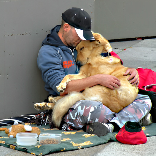 A Glimmer of Hope on the Streets: A Heartfelt Tale of Love and Compassion Between a Dog and Its Homeless Owner