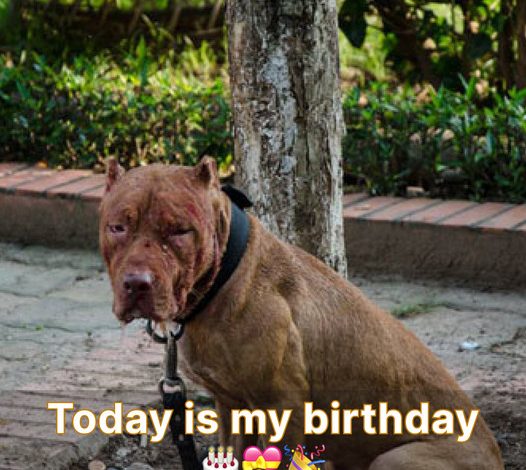 Today is my birthday. I’m feeling down since no one has sent me birthday wishes