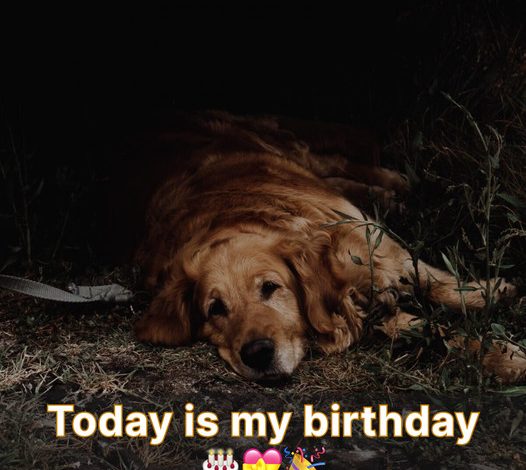 It’s my birthday today. I feel sad because no one has wished me a happy birthday