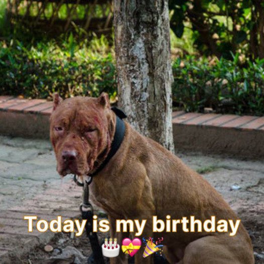 Today is my birthday. I feel down since I haven’t received any birthday wishes