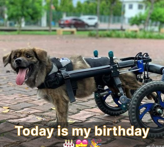 Today is my birthday, and I feel sad because I haven’t received any wishes