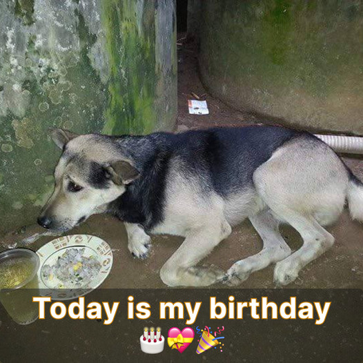 It’s my birthday today. I would like to share with you