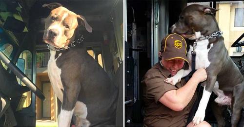 A UPS driver befriends a Pit Bull on his delivery route and adopts him after the dog’s owner passes away, giving the dog a caring home