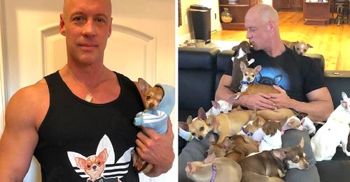 Man Who Once Mocked Tiny Dogs Is Saved By A Chihuahua, Now Dedicates His Life To Rescuing Them