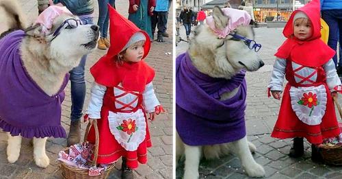 A Young Girl and Her Husky Dressed as Red Riding Hood and the Big Bad Wolf Go Viral for Their Cuteness